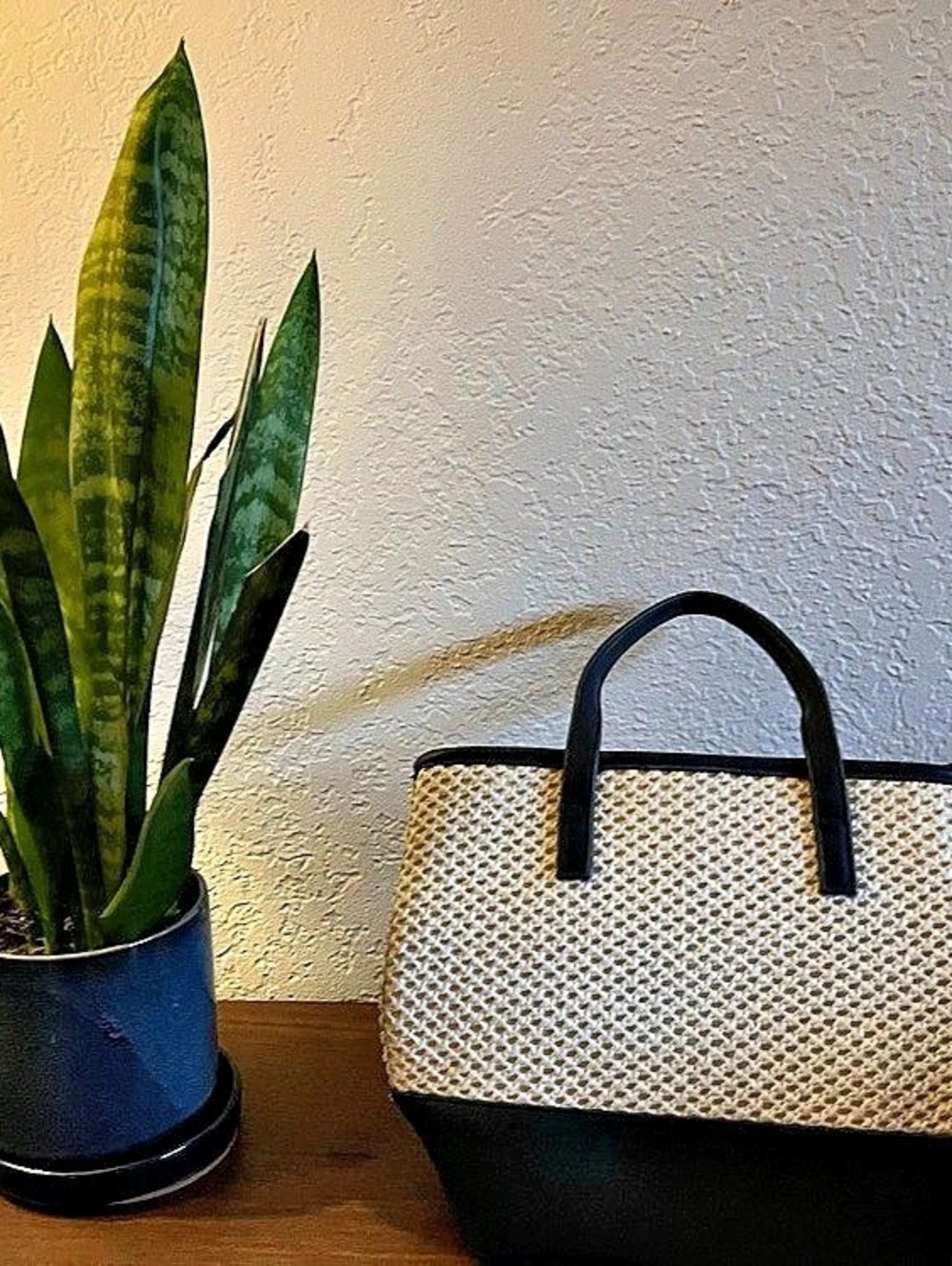 Old Money Elsio & Zizi Woven Tote in Black & White